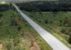 TO-010 terá 80 km de obras com investimento de R$ 240 milhões para impulsionar o Bico do Papagaio