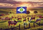 Mato Grosso aumenta em 127% número de cadastros validados com CAR Digital 2.0