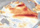 Previsão do tempo: probabilidade do El Niño em 2026