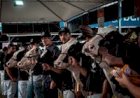 Raça holandesa concentra programação da Fenasul Expoleite em Esteio/RS
