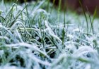 Frio deve avançar sobre áreas agrícolas do Sul