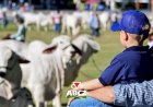 Confira os destaques da programação nesta quinta-feira (30) na 91ª ExpoZebu
