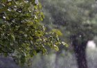 Chuva forte, temporais e baixa umidade marcam o tempo no Brasil nesta quarta