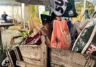 Fenasul Expoleite terá Shopping Rural com objetivo de facilitar logística dos expositores