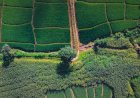 O que são os falsos-positivos do Prodes e como eles impactam o produtor rural?