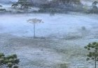 Mancha polar mantém o Sul gelado e leva chuva intensa ao Norte do Brasil