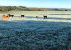 Previsão do tempo: Inmet alerta para chuvas intensas e temperaturas perto de 0°C
