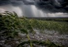 INMET alerta para tempestades com granizo em áreas produtoras nesta terça
