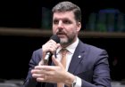 Seguro rural e fertilizantes: Câmara aprova medidas estratégicas para o agro