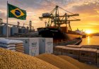 Algodão e carnes lideram avanço das exportações brasileiras em maio com altas acima de 30%