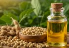 Alta do óleo de soja com demanda do biodiesel sustenta preços do grão