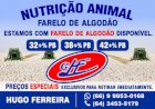 Algodão sobe pelo quarto mês e mercado testa a qualidade da alta