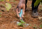 Entregas de fertilizantes somam mais de 9 milhões de toneladas no primeiro trimestre