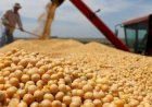 Cotações Agropecuárias
