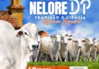 34º LEILÃO NELORE DP - TRADIÇÃO E CIÊNCIA