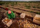 Em semana de votação histórica, governo abre ofensiva contra medidas que ajudam produtor rural