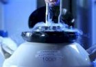 África busca tecnologia pecuária brasileira para ampliar produção no agro