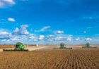 Brasil conclui colheita da soja e encerra safra em todas as regiões produtoras