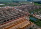 JBJ e Fazenda Conforto desistem de negócio envolvendo confinamento de gado em Goiás