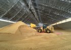 Déficit de armazenagem impulsiona uso de silo bolsa nas propriedades rurais de Mato Grosso