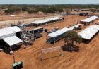 Agrosoja 2026 é cancelada em Cariri e deixa o agronegócio do sul do Tocantins sem uma de suas principais vitrines