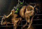 Caldas Rodeo será realizado em setembro com segunda rodada da Etapa Master 2027 da PBR