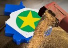 Mato Grosso consolida Estado entre as maiores economias do país com expansão do PIB