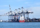 Porto de Santos deve atingir ainda neste ano marca de 100 milhões de TEUs movimentados