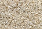 Manejo do perfilhamento eleva rendimento do arroz