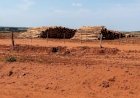 MPMS apura possível degradação de mais de 400 nascentes em plantações