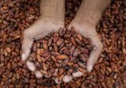 Commodities exigem avanço na agregação de valor