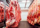 Reino Unido decide retomar as importações de carne bovina do Brasil a partir de setembro/26