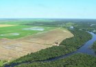 Estudo aponta que R$ 92,4 bilhões do crédito rural foram destinados a imóveis com alertas ambientais