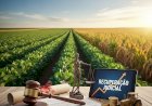Recuperações judiciais no agronegócio mantêm aquecido mercado de reestruturação empresarial