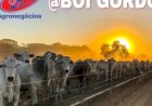Cotações Agropecuárias
