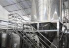 Produto cearense que une leite de cabra e água de coco ganha nova usina de fabricação
