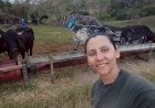 Especial Nordeste: ela provou que 30 hectares eram suficientes para produzir mais leite