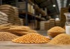 Cotações Agropecuárias