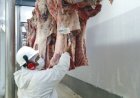 Carne bovina: Brasil reacende aposta na Coreia do Sul, que paga US$ 10 mil/t para cortes resfriados