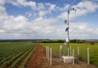 Produtores de Mato Grosso passam a usar sistema agrometeorológico do Inmet