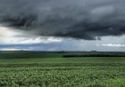 Chuva irregular pode atrasar plantio de soja em MT e GO