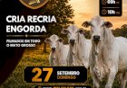 565º LEILÃO VIRTUAL MB LEILÕES