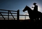 “Estamos fugindo da contratação”: o que tem levado o produtor a evitar Seguro Rural?