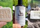 Curiosidade: leite de jumenta vira cosméticos no Chile; oportunidade para o semiárido brasileiro?