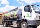 No semiárido paraibano, Capribov transforma leite de cabra em produtos premiados