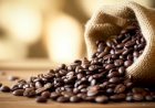 Clima favorável no campo: Chuvas nas regiões produtoras estimulam floradas do café e impactam mercado