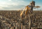 Carta Aberta da Frente Parlamentar da Agropecuária