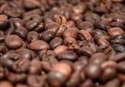 Preço do café registra queda nas últimas semanas