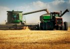 Veja aqui Cotações mistas do Agro