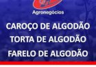 Quando a umidade pede pausa na colheita do algodão